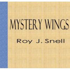 Mystery Wings Mystery Wings